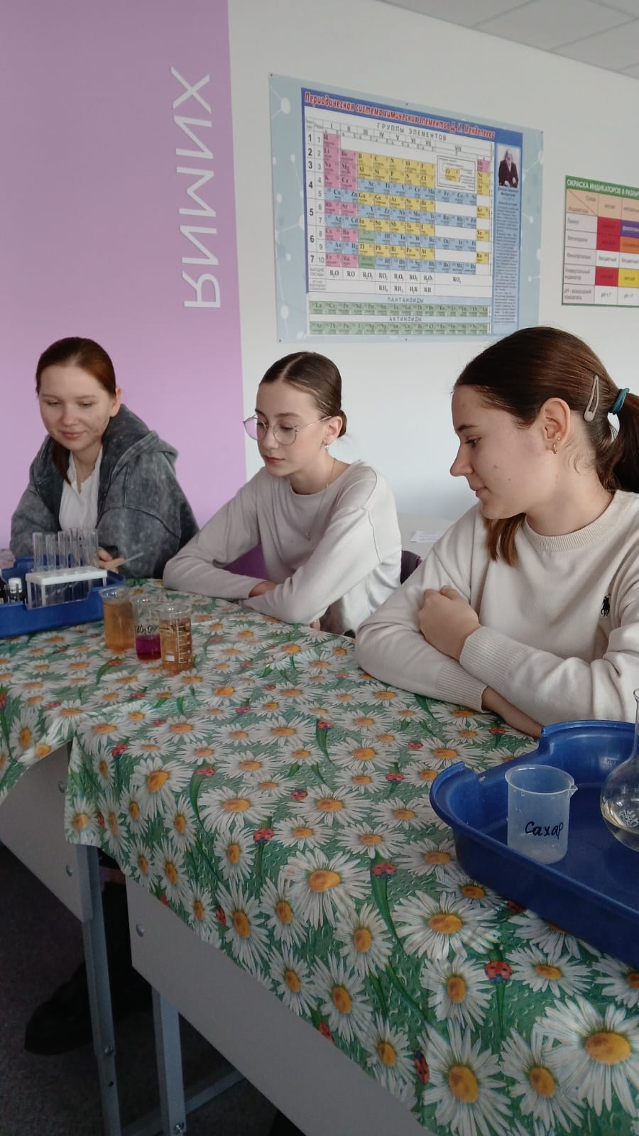 Химия в быту.